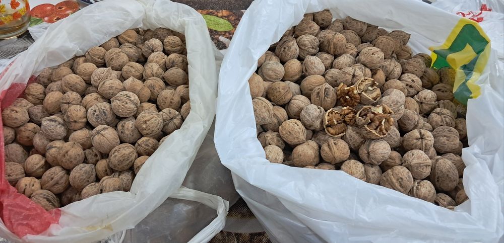 Енгок свой огорот