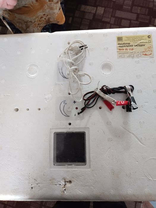 Инкубатор Золушка