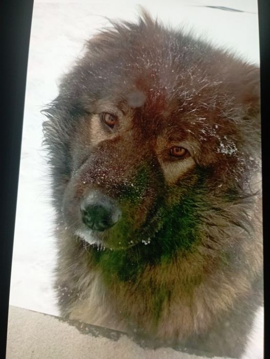 В связи с переездом