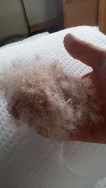 Възглавници от гъши пух