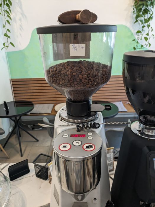 Râșniță de cafea profesionala, Mazzer