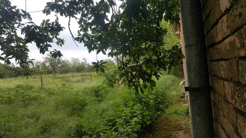 Продава се Къща в с. Червенци, Област Варна - 65 кв.м за 770 €/кв.м - Снимка #9