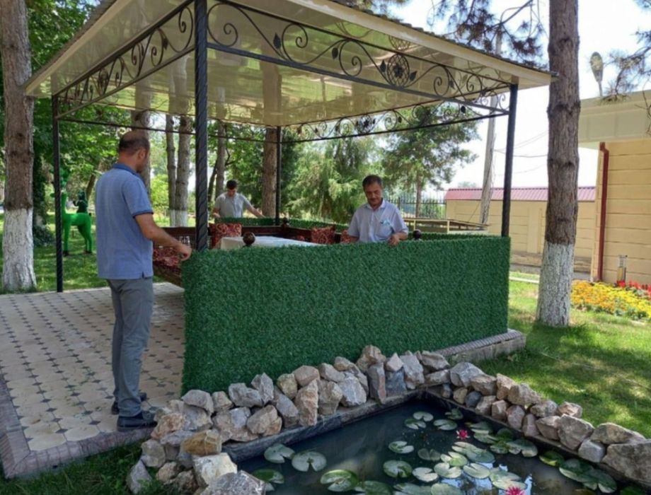 Суний газон ва девор