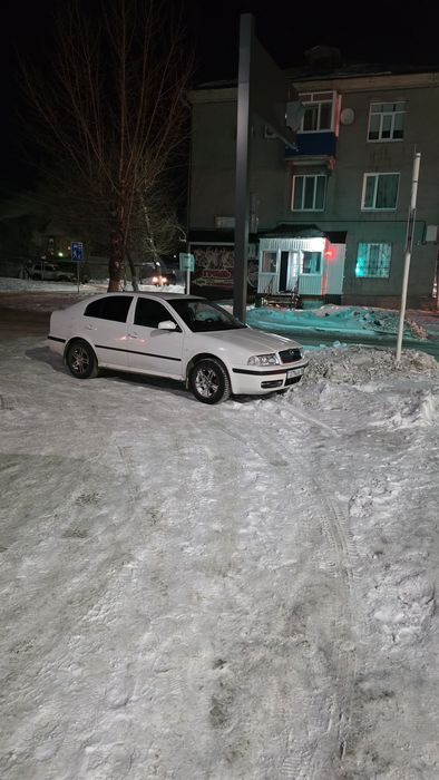 шкода октавия тур