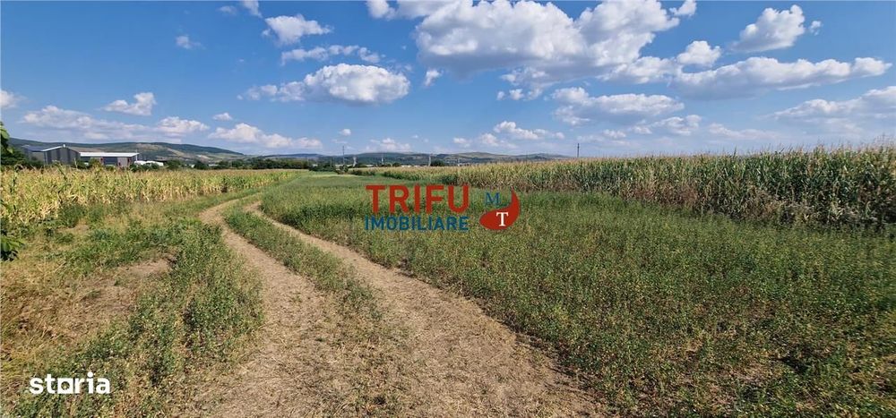 Teren intravilan construibil de 5.900 mp, zonă industrială, Șoseaua de