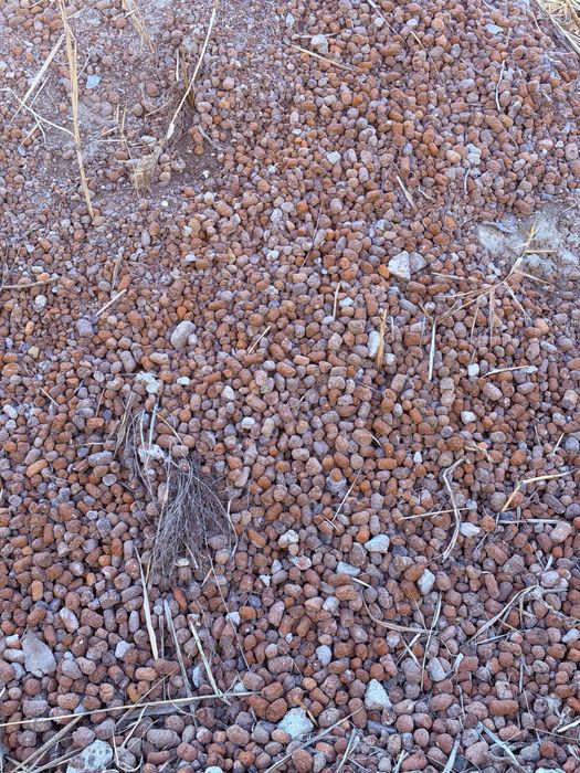 Keramzit arzon narxda