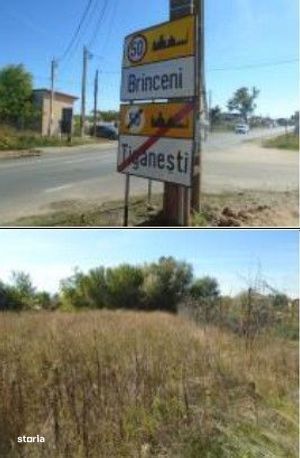 Teren Branceni, ID: R2942560