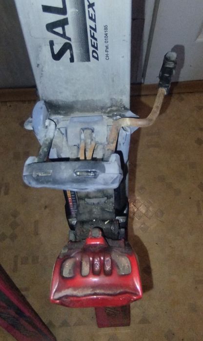 Горные лыжи Mizuno Racing