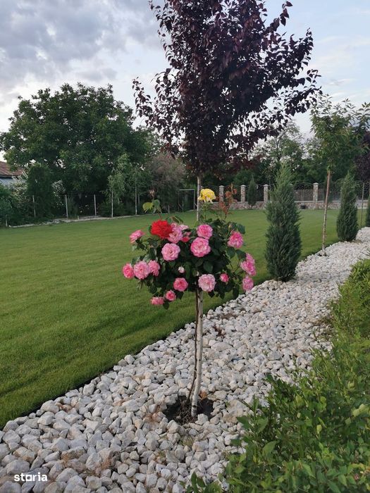 Casa Ulmi 15 min de București km 23 A1