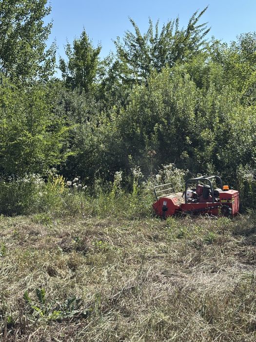 Tocare vegetație necontrolată și ambrozie pana la 3 cm diametru Timiș