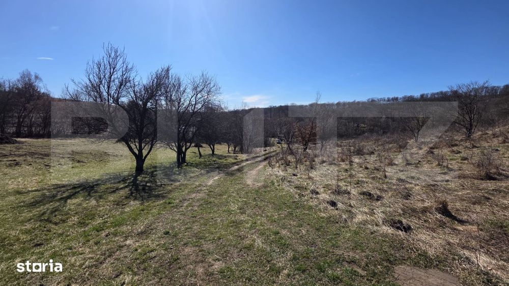 Teren de vanzare de 8,567MP in zona: Tarpiului