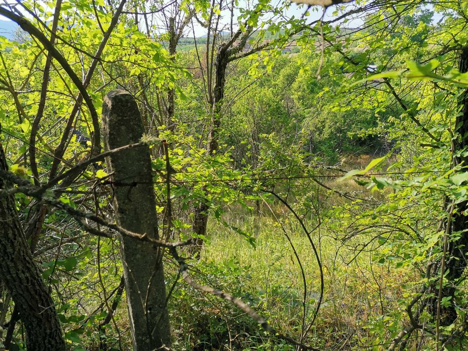 Земя с.Рилци гр. Благоевград