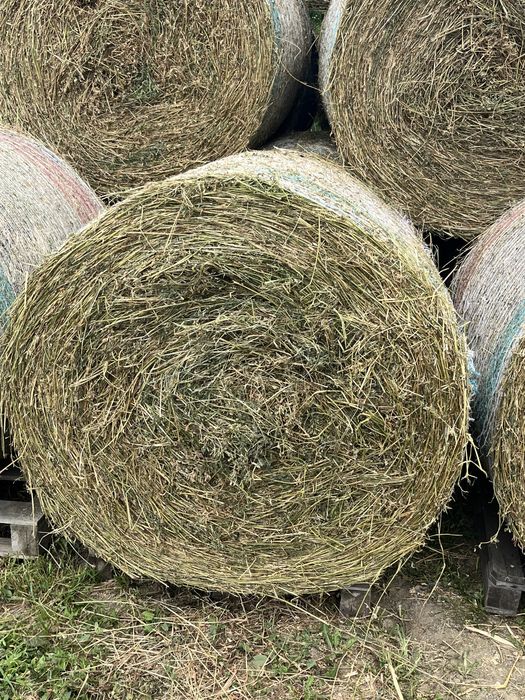 Vând baloti de lucernă