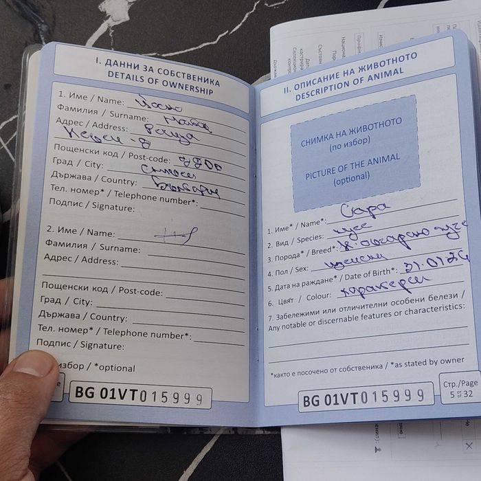 Hемска Oвчарска със чип и всички ваксини