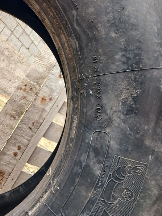 Мишилени ведущих