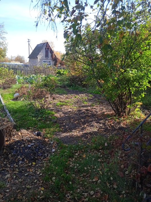 Продам дачу с/о "Веснянка"