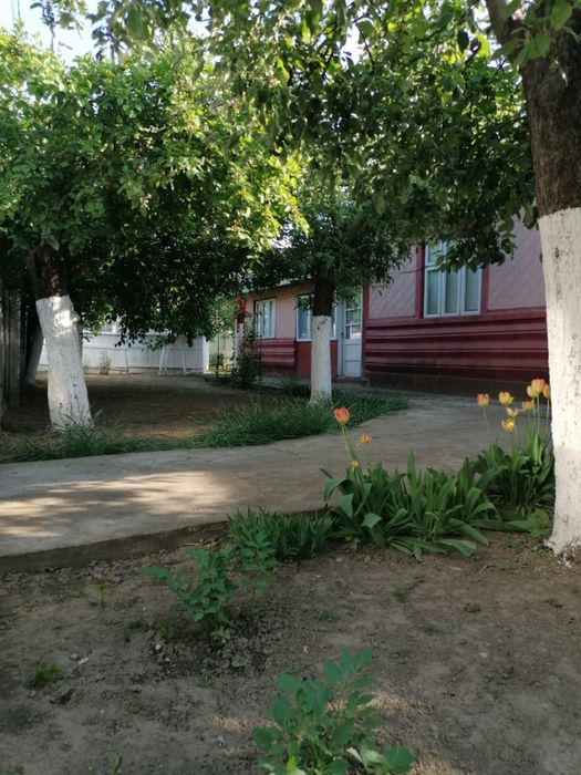 Casa batraneasca in Cosmesti Vale - teren generos, zona linistita