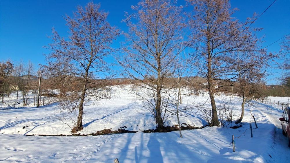 Teren de vanzare Intravilan Tăuții-Măgherăuș, Strada 57,  868mp