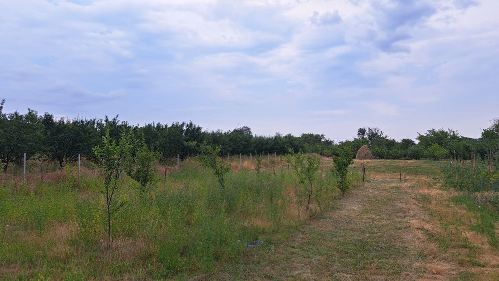 Teren zona de munte 130
