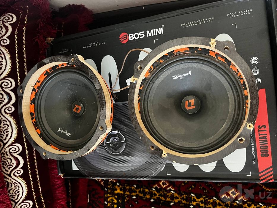 DL audio baracuda