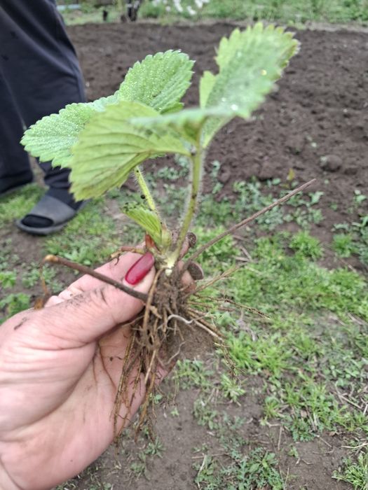 Много разовая 300 тенге