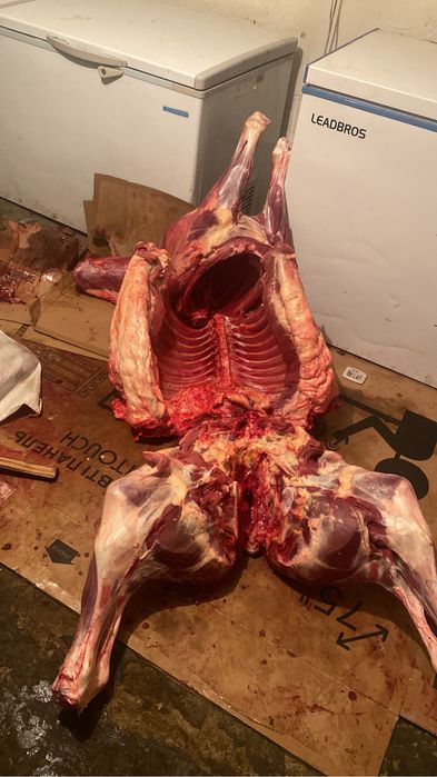 Тай сатылады даланын