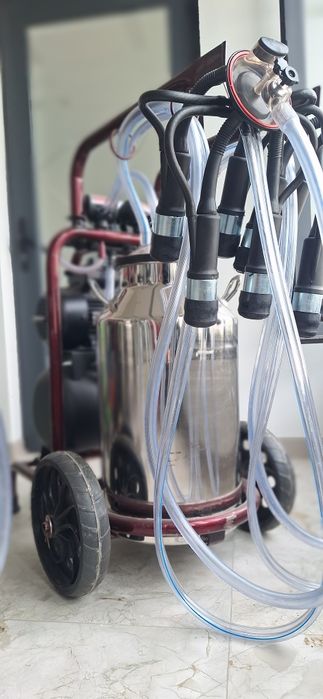 Доильный аппарат.  Sut sog‘ish apparati. Сут соғиш аппарати