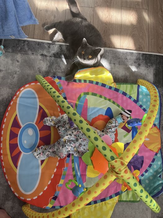 Детский развивающий коврик Lorelli