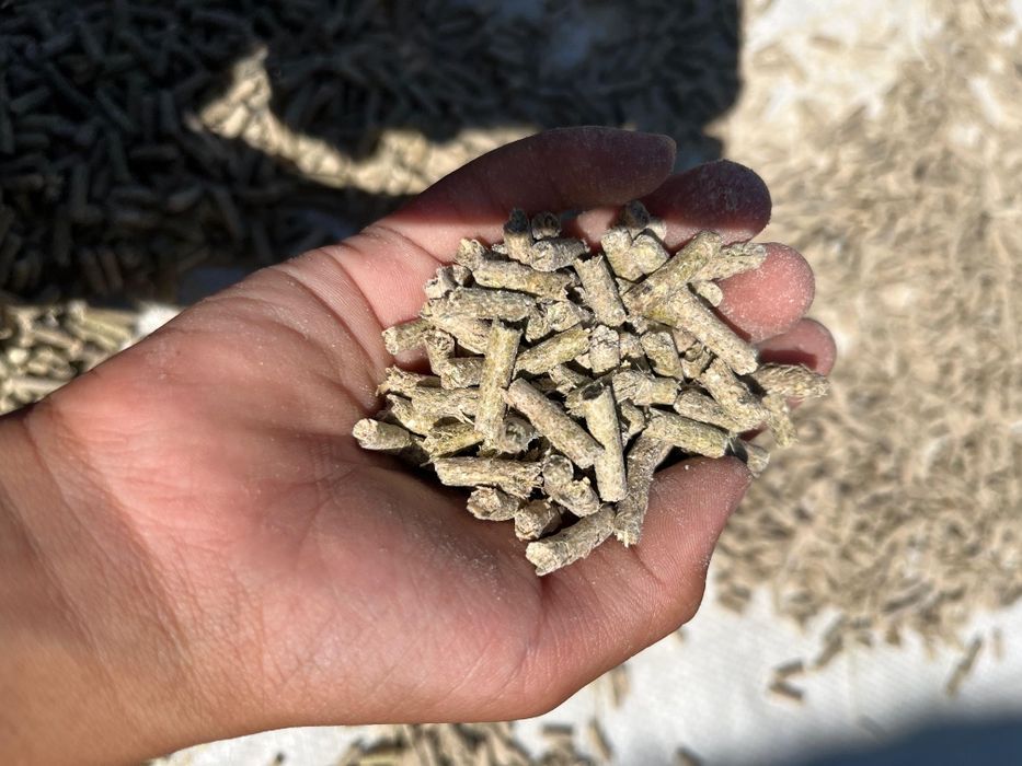 Гранулятор гранулятор