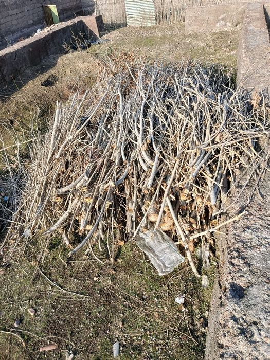 Тераклар ва утинлар сотилади.
Шахсий ховлида турибди.