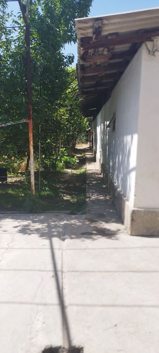 Продается дом в лимонарии