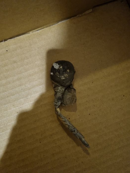 antifurt container,magnet tir,stergator parbriz atv,utv