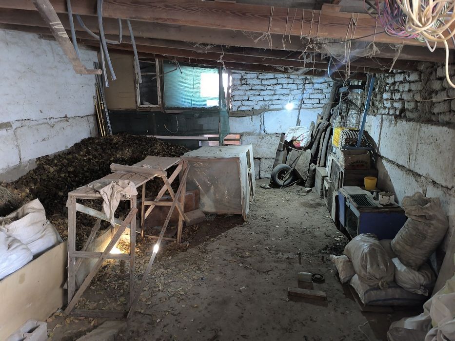 Hovli sotiladi 5 sutix