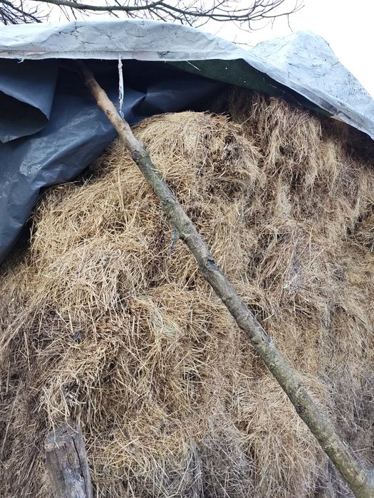 Baloti de fan, dreptunghiulari