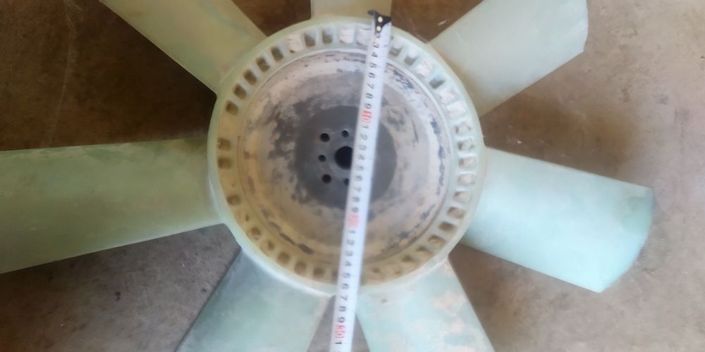 Lopos Lopos parrakLopos parrak