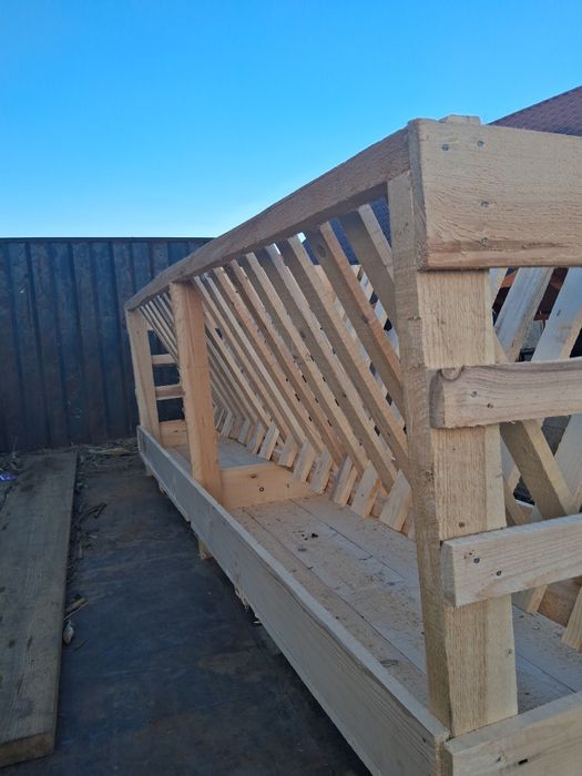 Vând iesili pentru oii