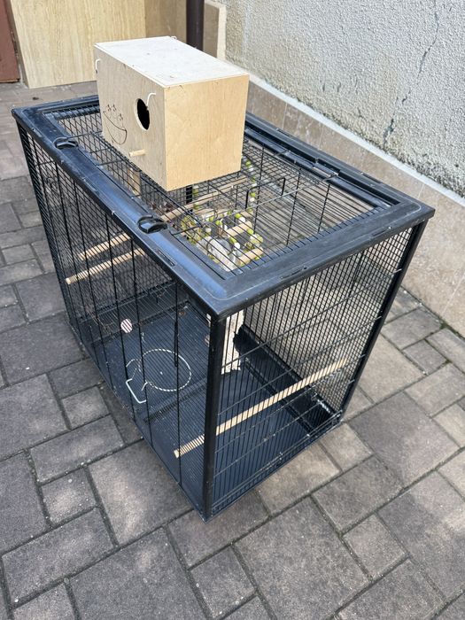 Colivie papagali dim 78x82x48