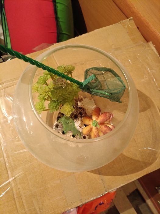 Аквариум, сито, наполнение, фильтр