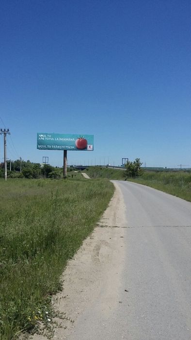 Vand teren intravilan Cățelu/Glina, Autostrada Soarelui/A2