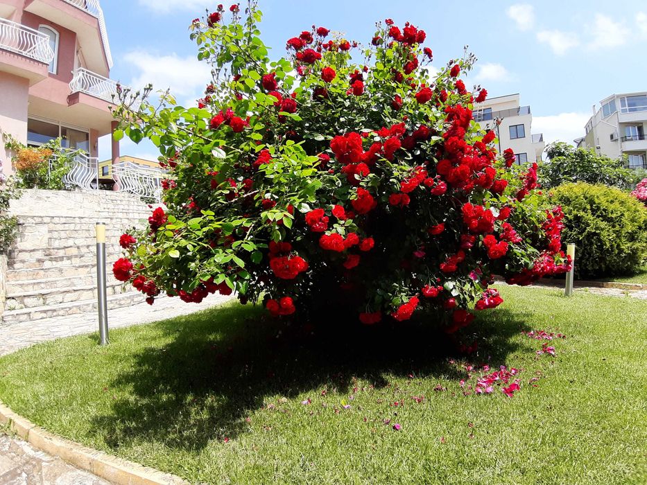 Собственик Продава Къща в Старата Регулация на Сарафово