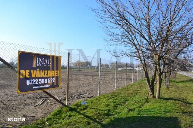 Vanzare Teren intravilan, 5600 mp in Mircea Voda - Dambovita.