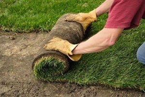 Газоны и ландшафтный дизайн оплата наличными и перечисления
