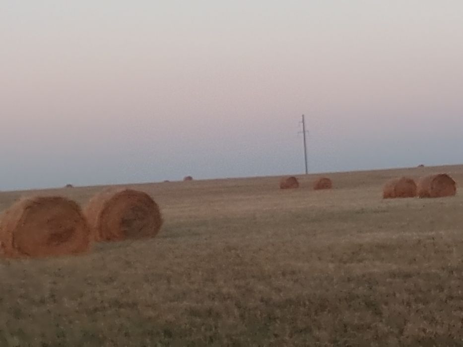 Продам сено жетняк