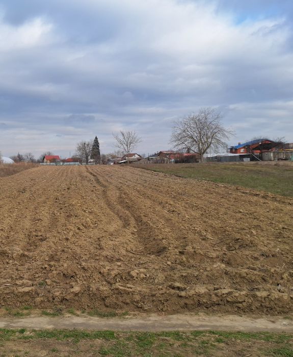 Teren intravilan de vânzare, zona Copăceni Ilfov.