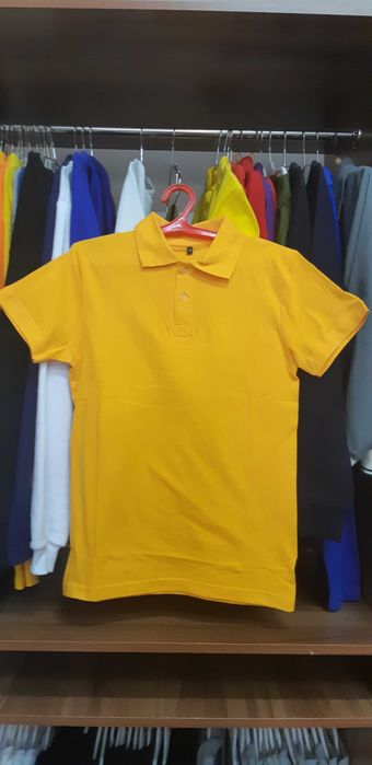 Поло, финнкалар бор