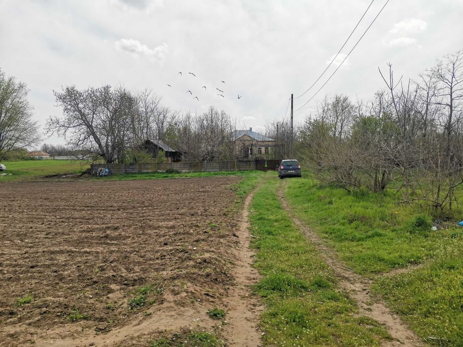 Teren Intravilan 1.78ha + Casă 122mp (Renovare) – Dobrotești, Fără Comision