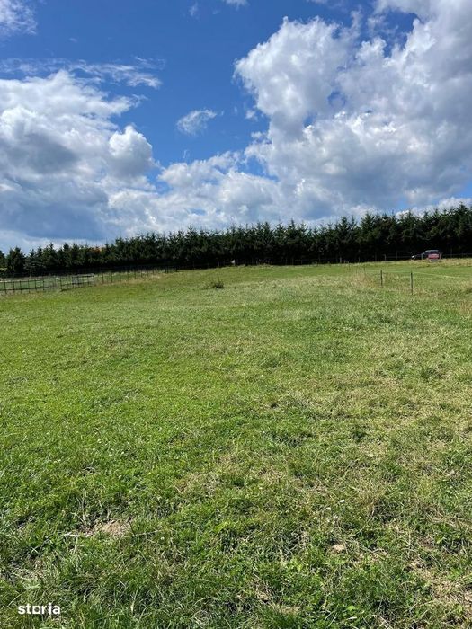 INVESTIȚIE | Teren 5000 mp PUZ APROBAT intravilan - zona Sohodol -Bran