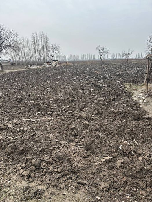 15 sotix yer sotilad