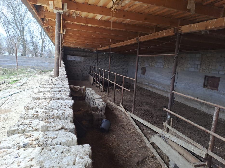 Фазенда в городе Жетысай