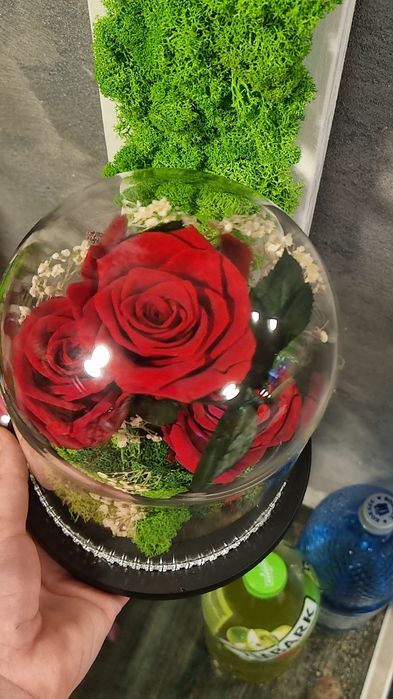 Trandafiri criogenați